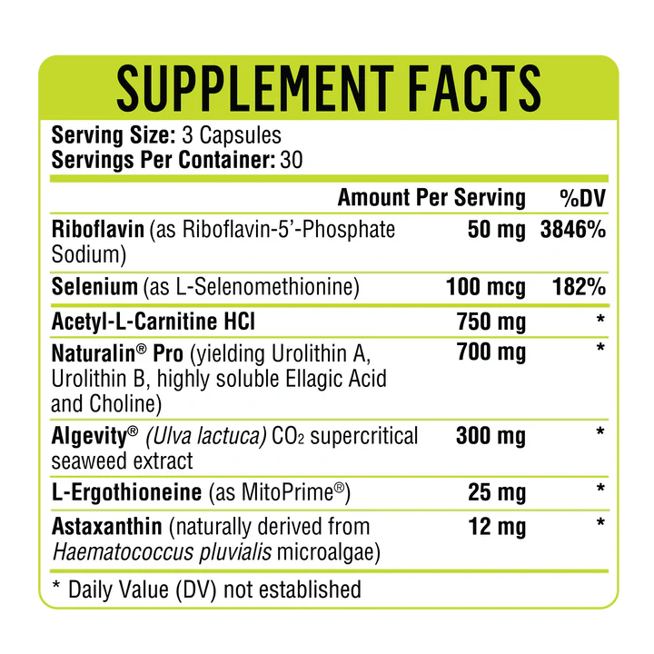 Mitochondria Prime+™ | Cellular Energy & Wellness Support | HealthGevity