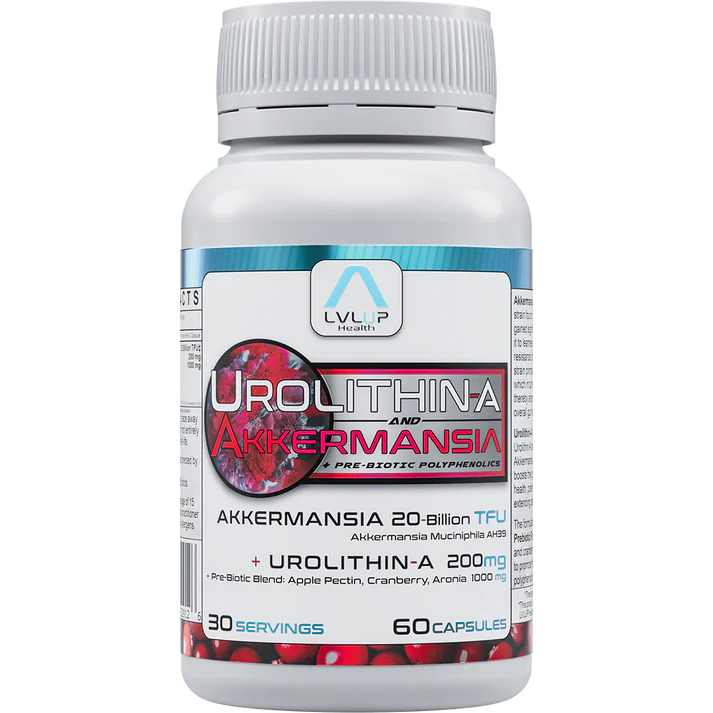 Urolithin A + Akkermansia | LVLUP Health