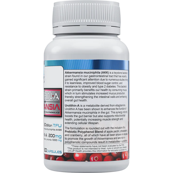 Urolithin A + Akkermansia | LVLUP Health