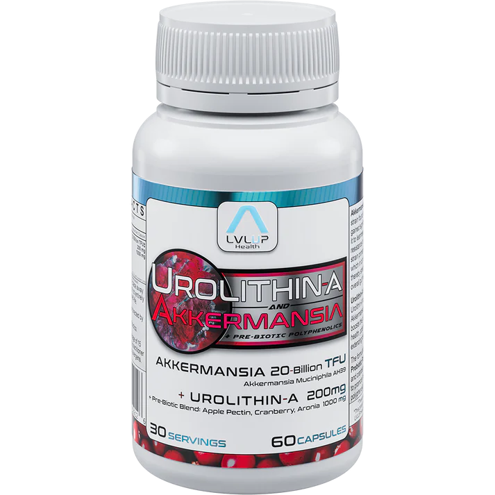 Urolithin A + Akkermansia | LVLUP Health