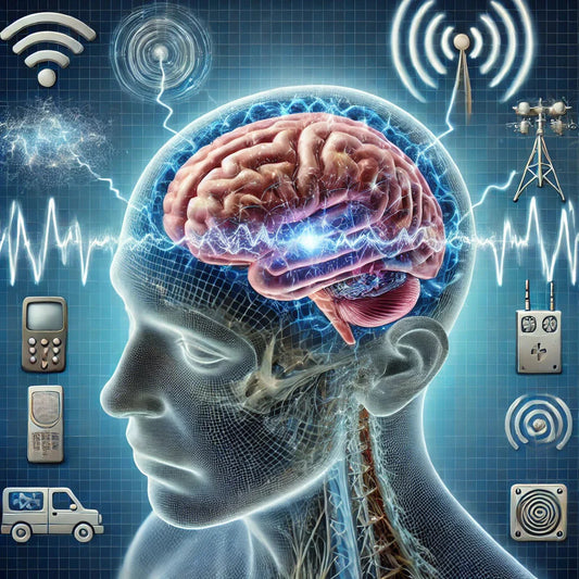 EMF Effects on the Brain