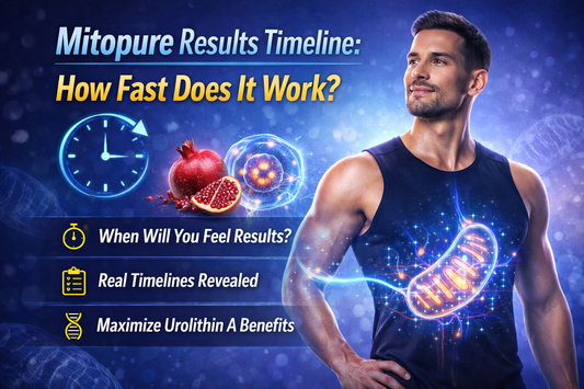 How Long Does Mitopure Take to Work? Timeline, Results, and Key Insights